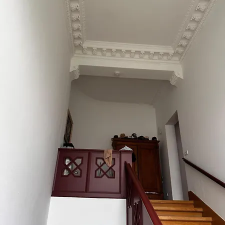 Апартаменты Altbauwohnung In Blasewitz Am Waldpark